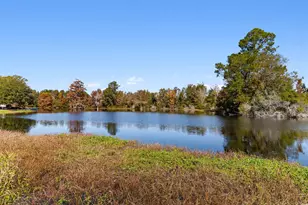 128 Hwy 521, Andrews, SC 29510 - Photo 35