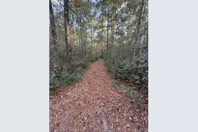 Tbd Salem Rd., Aynor, SC 29511 - Photo 13