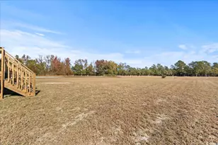 134 Sea Ray Ln, Marion, SC 29571 - Photo 39