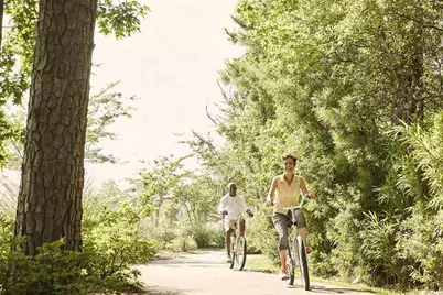 Lot 209 Sea Breeze Way, Longs, SC 29568 - Photo 17