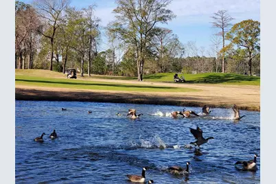 533 White River Dr. #18E, Myrtle Beach, SC 29579 - Photo 23