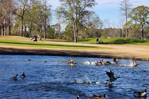 533 White River Dr, Myrtle Beach, SC 29579 - Photo 23