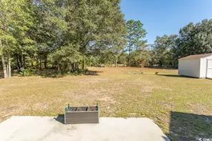 149 Dayglow Dr, Loris, SC 29569 - Photo 31