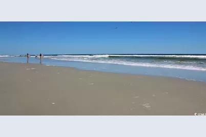 188 Bjorn Way, Longs, SC 29568 - Photo 35