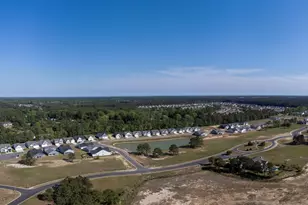 3151 River Crane Loop, Calabash, NC 28467 - Photo 3