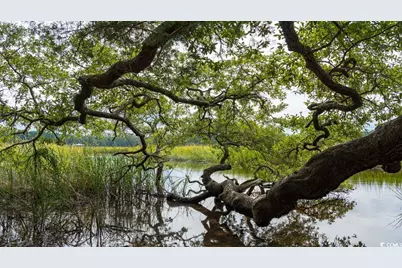 470 Blissful Ln., Little River, SC 29566 - Photo 29