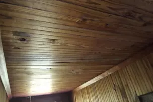 3508 Thurgood Marshall Hwy, Kingstree, SC 29556 - Photo 5