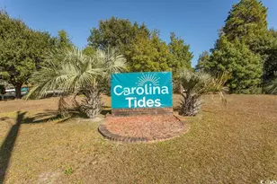 1013 Conway Plantation Dr, Conway, SC 29526 - Photo 37