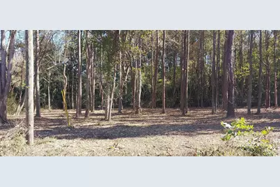 0 Millers Rd., Mullins, SC 29574 - Photo 3