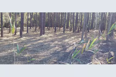 0 Millers Rd., Mullins, SC 29574 - Photo 1