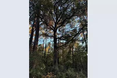 Lot 1 & 2 College Park Rd., Conway, SC 29527 - Photo 5