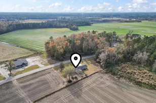 4145 Hwy 308, Galivants Ferry, SC 29544 - Photo 3