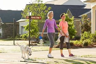 1185 Lady Bird Wy, North Myrtle Beach, SC 29582 - Photo 25