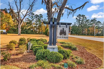 170 Pine Forest Dr., Conway, SC 29526 - Photo 35