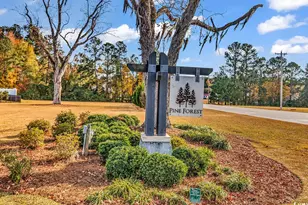 170 Pine Forest Dr, Conway, SC 29526 - Photo 35