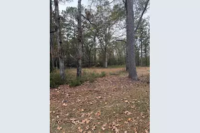 335 Byrnes Circle, Johnsonville, SC 29555 - Photo 1