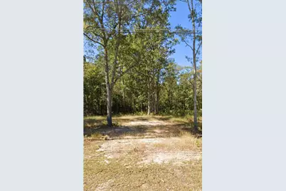 329 Byrnes Circle, Johnsonville, SC 29555 - Photo 1