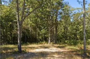 329 Byrnes Cir, Johnsonville, SC 29555 - Photo 1