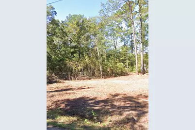 237 Byrnes Circle, Johnsonville, SC 29555 - Photo 1