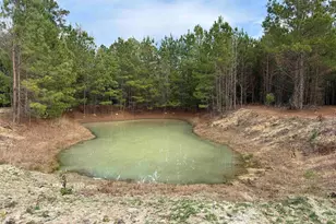 7262 N Brewington Rd, Manning, SC 29102 - Photo 17