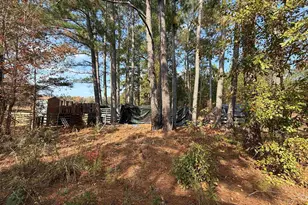 7262 N Brewington Rd, Manning, SC 29102 - Photo 15