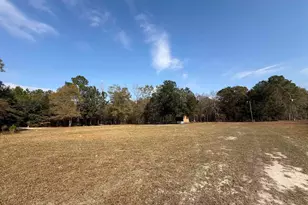 7262 N Brewington Rd, Manning, SC 29102 - Photo 13