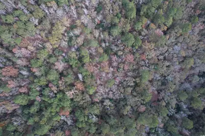 7262 N Brewington Rd., Manning, SC 29102 - Photo 7