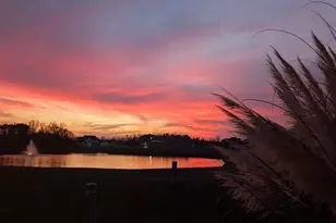 304 Spartina Ct, North Myrtle Beach, SC 29582 - Photo 37