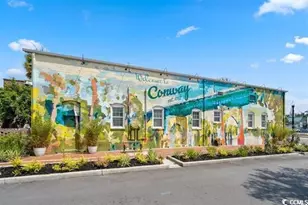 3052 Gadwall Dr, Aynor, SC 29511 - Photo 35