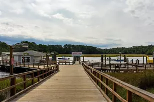 172 Pampas Dr, Loris, SC 29569 - Photo 29