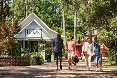 916 Blacksmith Dr., Loris, SC 29569 - Photo 17