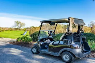 239 Teddy Bear Circle, Conway, SC 29526 - Photo 31