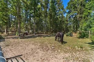 2323 Main St, Loris, SC 29569 - Photo 9