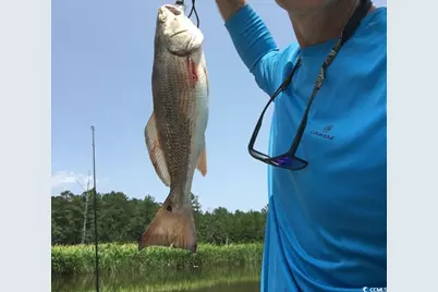 Slip 41 Friendfield Marina, Georgetown, SC 29440 - Photo 13