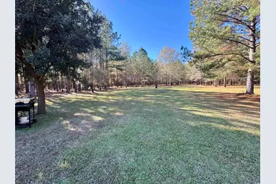 393 Coleman Rd., Greeleyville, SC 29056 - Photo 19