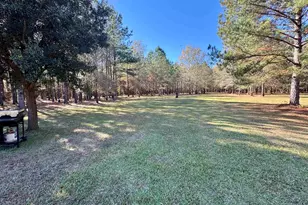 393 Coleman Rd, Greeleyville, SC 29056 - Photo 19