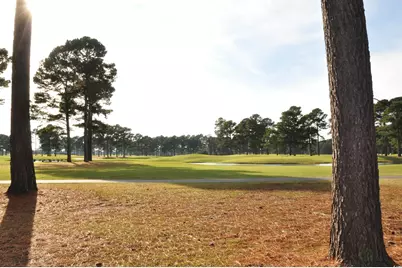 7021 Woodsong Dr., Myrtle Beach, SC 29579 - Photo 33