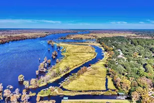 356 Rossdhu Ave, Pawleys Island, SC 29585 - Photo 5