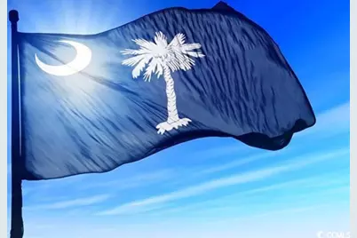 3048 Gadwall Dr., Aynor, SC 29511 - Photo 29