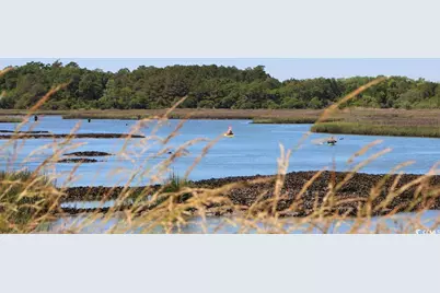 266 Ridley St, Longs, SC 29568 - Photo 33