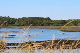 266 Ridley St, Longs, SC 29568 - Photo 33