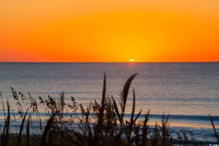 403 32nd Ave N, Myrtle Beach, SC 29577 - Photo 37