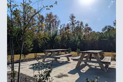 351 Lakota Loop, Longs, SC 29568 - Photo 29