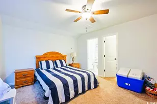 207 Long Leaf Pine Dr, Conway, SC 29526 - Photo 19