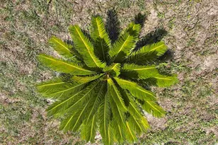 112 Village Ct, Murrells Inlet, SC 29576 - Photo 3