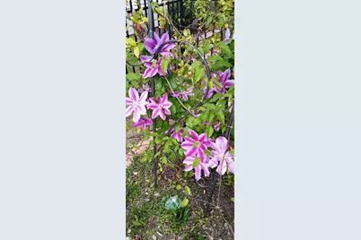 1709 Maplecress Way, Myrtle Beach, SC 29577 - Photo 27