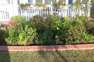 1709 Maplecress Wy, Myrtle Beach, SC 29577 - Photo 25