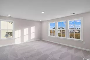 255 Starlit Way, Myrtle Beach, SC 29579 - Photo 15