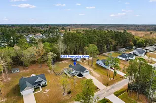 1275 Pinetucky Rd, Galivants Ferry, SC 29544 - Photo 35