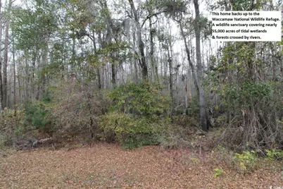 1514 St. George Ln., Myrtle Beach, SC 29588 - Photo 29